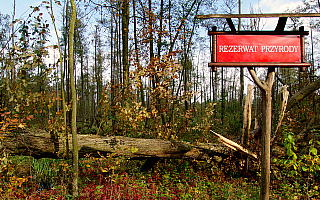 Cztery nowe rezerwaty przyrody na Warmii i Mazurach Cztery nowe rezerwaty przyrody na Warmii i Mazurach